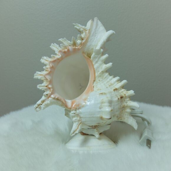 Seashell Lamp Night Light NWOT - Picture 6 of 10